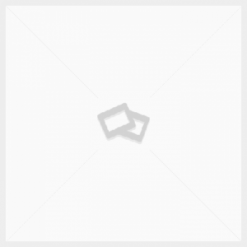 کاغذ راستیکاس فابریانو